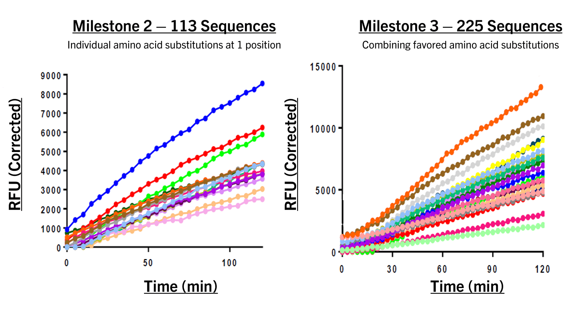 EGFR Assay Development